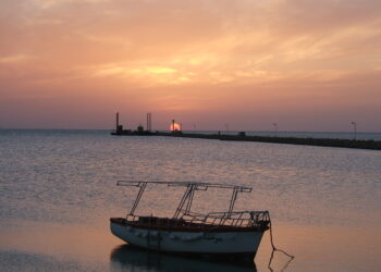 La Tunisie et le MedFund s’allient pour préserver l’Aire marine protégée de Kerkennah