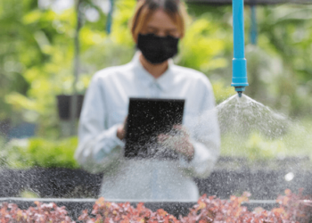 Appel à candidatures pour des subventions environnementales