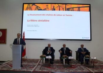 La numérisation en Tunisie: vers une révolution technologique pour l’amélioration de tous les secteurs