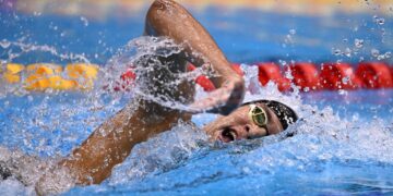 Ayoub Hafnaoui, champion du monde du 800 m nage libre