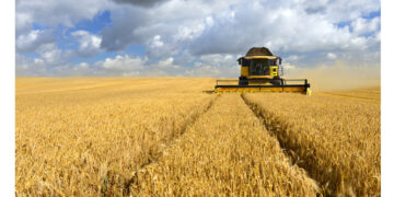 La Tunisie aurait acheté 200 000 tonnes de blé