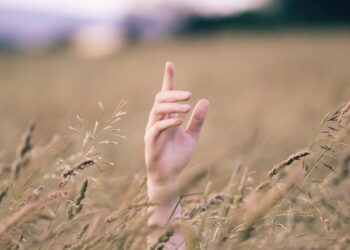 La Russie bloque les exportations des céréales ukrainiennes et refuse de prolonger l’accord