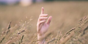 La Russie bloque les exportations des céréales ukrainiennes et refuse de prolonger l’accord