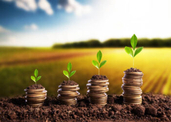 Baisse des investissements agricoles en faveur des femmes et des jeunes à fin juin 2023