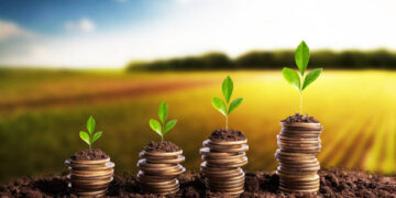 Baisse des investissements agricoles en faveur des femmes et des jeunes à fin juin 2023