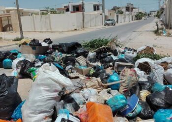 Les conflits d’intérêts dans la gestion des déchets en Tunisie: un obstacle majeur à la préservation de l’environnement