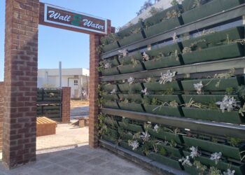 Une première en Tunisie: un mur vivant pour une eau réutilisée. Pour quoi faire?