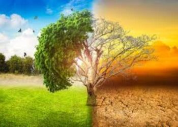 Financement climatique en Afrique du Nord : La Tunisie et l’Égypte en tête du flux de fonds, selon un rapport de la BAD