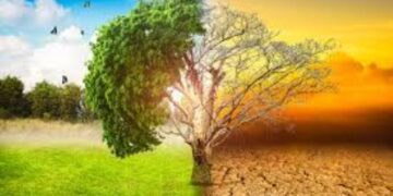 Financement climatique en Afrique du Nord : La Tunisie et l’Égypte en tête du flux de fonds, selon un rapport de la BAD