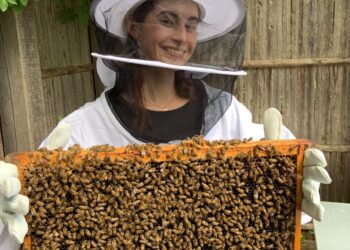 Zaghouan: lancement d’une initiative majeure pour la protection des ruches d’abeilles