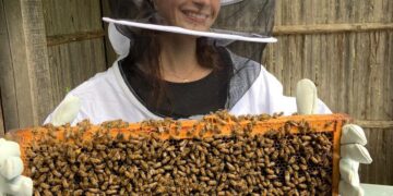 Zaghouan: lancement d’une initiative majeure pour la protection des ruches d’abeilles