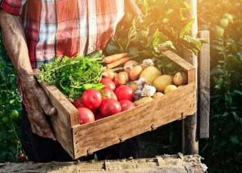 Vers une production agroalimentaire durable: 4 initiatives essentielles