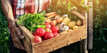 Vers une production agroalimentaire durable: 4 initiatives essentielles