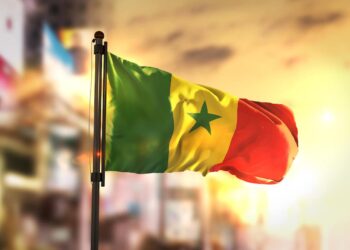 Le Sénégal, principal partenaire commercial de la Tunisie en Afrique subsaharienne