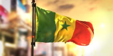 Le Sénégal, principal partenaire commercial de la Tunisie en Afrique subsaharienne