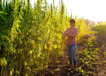 Le monde en marche vers un avenir énergétique durable: les tendances de 2024