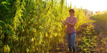 Le monde en marche vers un avenir énergétique durable: les tendances de 2024