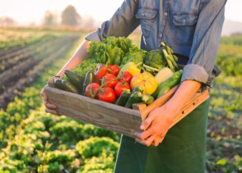 Étude de faisabilité: promotion des produits agricoles biologiques en Tunisie