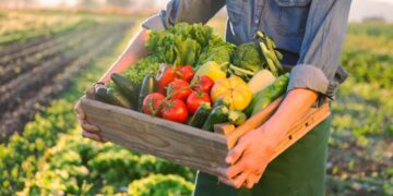 Étude de faisabilité: promotion des produits agricoles biologiques en Tunisie