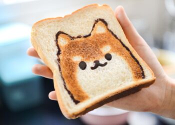 Balance commerciale alimentaire de septembre 2023: un léger mieux