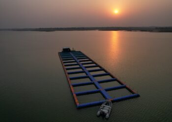 La startup tunisienne AquaDeep honorée aux MedFish4Ever Awards 2023