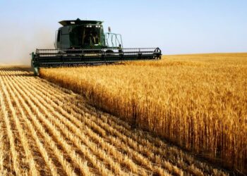 Investissements agricoles: des intentions de 1 104 Mtnd, des approbations de 350 Mtnd