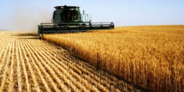 Investissements agricoles: des intentions de 1 104 Mtnd, des approbations de 350 Mtnd