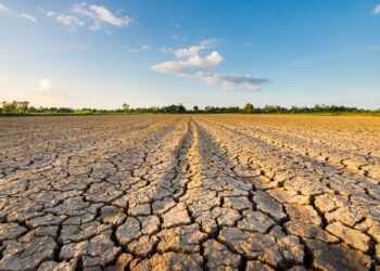 Reprise modeste en Tunisie (2023): impact de la sécheresse et obstacles économiques