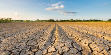 Reprise modeste en Tunisie (2023): impact de la sécheresse et obstacles économiques