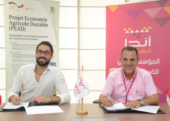 Partenariat entre la GIZ Tunisie et Enda Tamweel