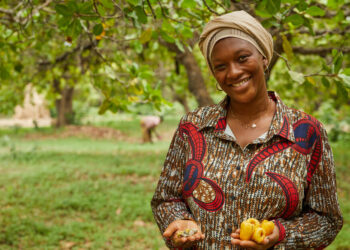 La sécurité alimentaire en Afrique subsaharienne repose sur l’accès des femmes aux terres agricoles