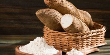 Afrique: faible volonté de promouvoir l’utilisation des farines locales