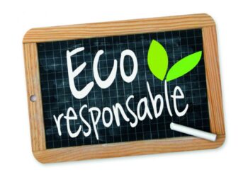 Green4youth: soutien aux PME et startups éco-responsables!