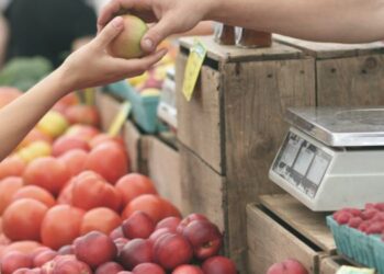 Baisse de l’inflation en octobre 2023 à 8,6%