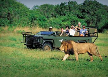 Tourisme africain: une contribution potentielle de 168 milliards de dollars au PIB