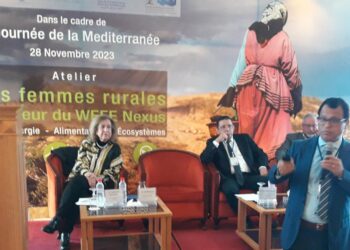 Cawtar: les femmes rurales au cœur du WEFE Nexus et de la COP 28