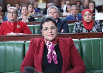 Sihem Nemsia:”Les avantages fiscaux accordés aux TRE coûtent annuellement une dépense de 1700 millions de dinars pour l’État”