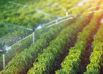 La Tunisie et l’Arabie saoudite s’allient pour un avenir agricole durable