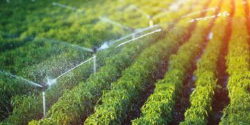 La Tunisie et l’Arabie saoudite s’allient pour un avenir agricole durable