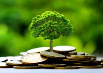 Création de 4 banques vertes africaines pour surmonter le déficit de financement climatique