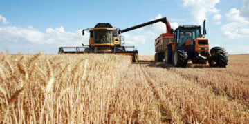 Russe: la Tunisie importe 412 000 tonnes de céréales