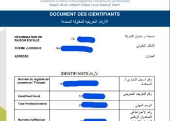 Maroc: créer une entreprise 100% en ligne est devenu possible!