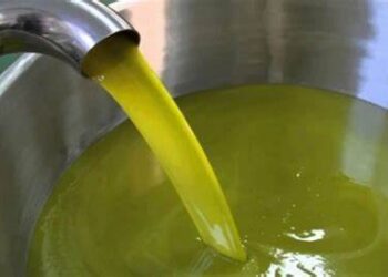 LF 2024: une taxe douanière de 4% sur l’exportation d’huile d’olive