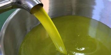 LF 2024: une taxe douanière de 4% sur l’exportation d’huile d’olive