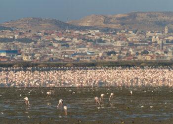 Entrée en vigueur de l’accord de don relatif à la “sebkha” de Sijoumi