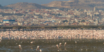 Entrée en vigueur de l’accord de don relatif à la “sebkha” de Sijoumi