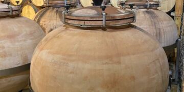 Viticulture durable: la marque Reservin lance sa nouvelle cuvée en Tunisie