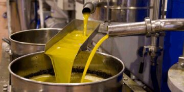 Onagri: la production d’olive est estimée à 220 mille tonnes