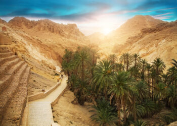 Le Routard classe le sud de la Tunisie dans le top 10 des destinations à découvrir en 2024