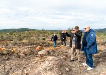 La MAE Assurances s’engage pour le reboisement des forêts tunisiennes ravagées par les incendies